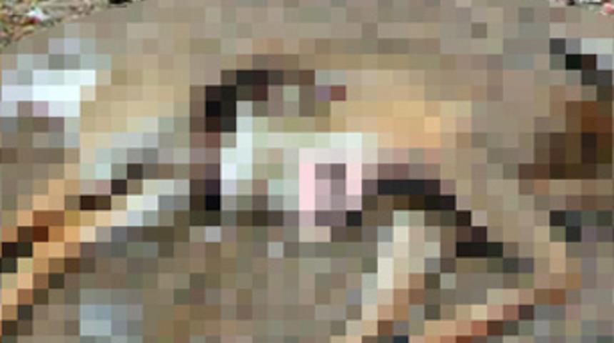 Böyle sapık görülmedi