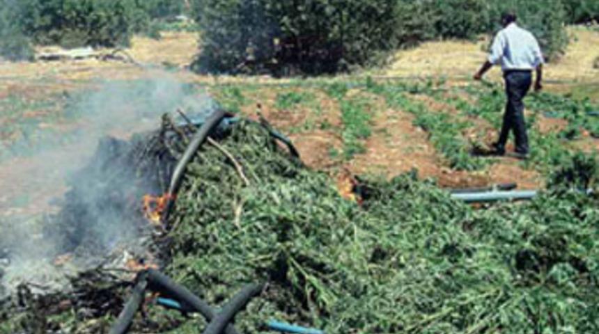 PKK'ya tarihin en b&uuml;y&uuml;k darbesi