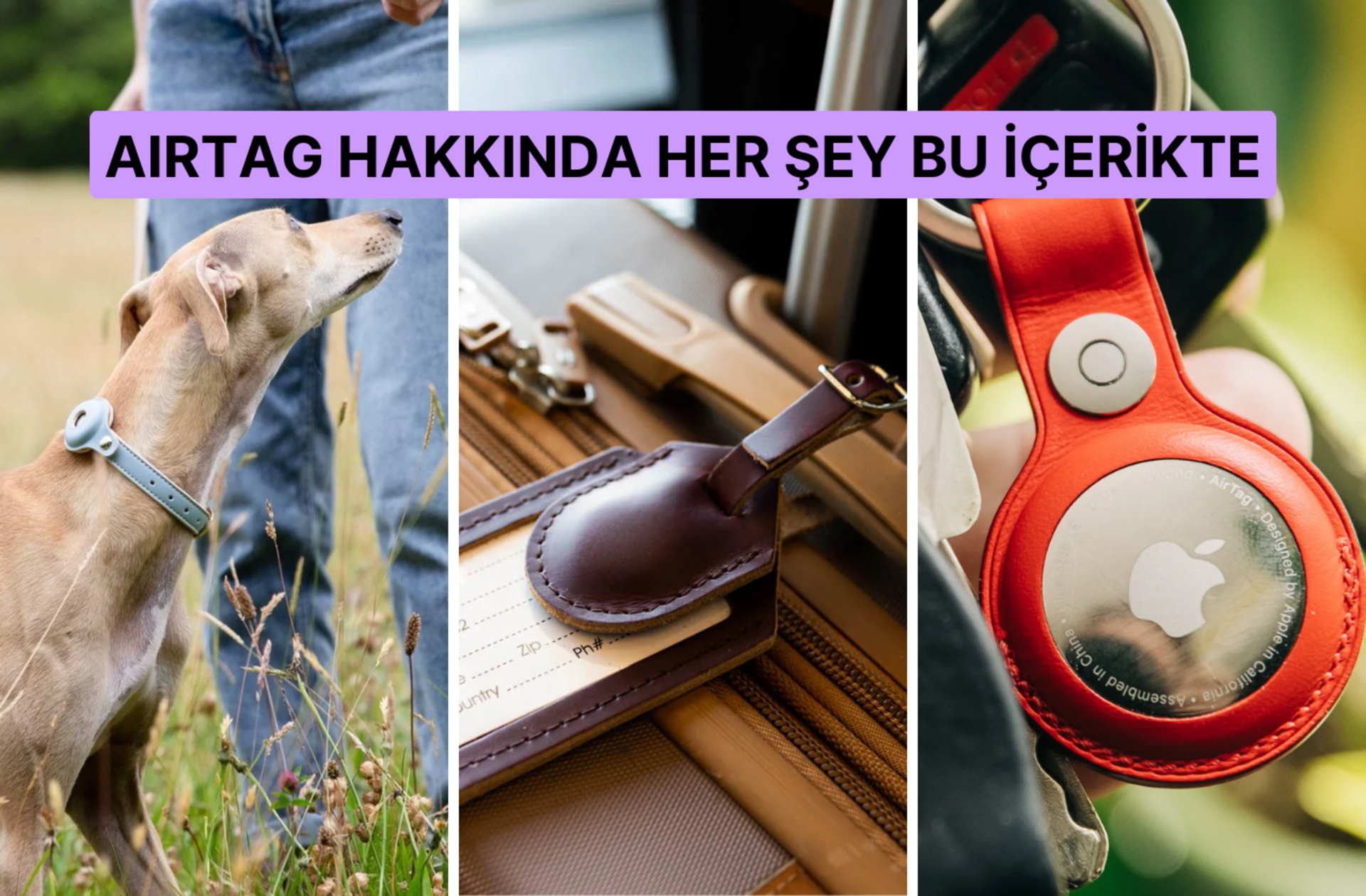 Evcil hayvanına takan da var, valizinin içine atan da... Airtag nedir, ne işe yarar?