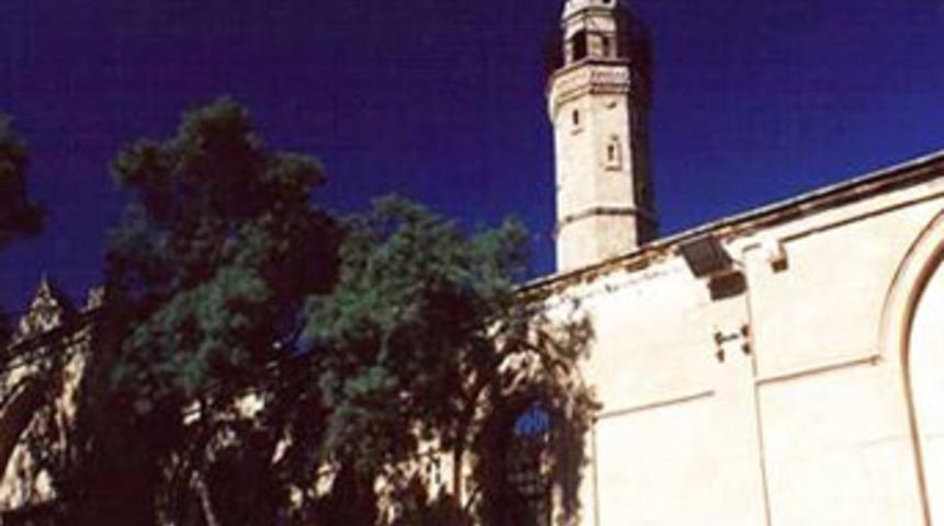 Camide i&ccedil;ki festivali