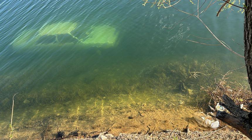 Uşak'ta şaşırtan görüntü! Ekipler alarma geçti