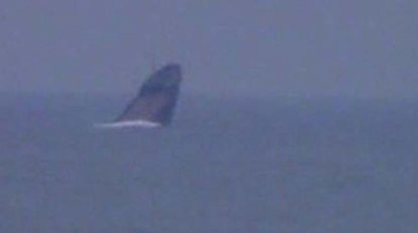 Zonguldak'ta gemi battı!