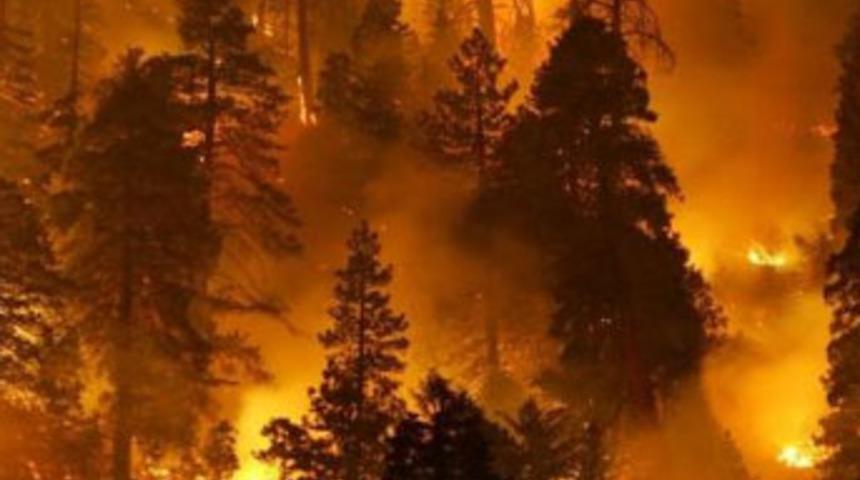 500 hektar alan kül oldu