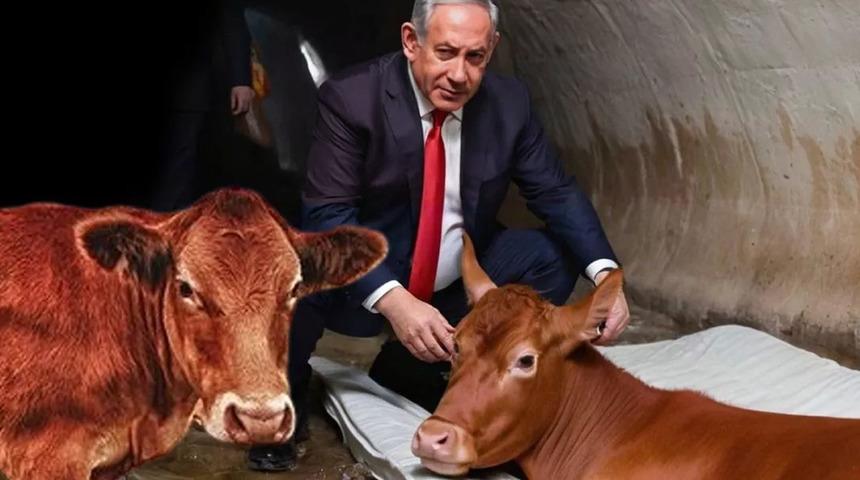 İsrail kehanetlerden medet umar hale geldi! Dolaşıma sokulan fotoğraf din savaşlarının ilk kıvılcımı olabilir: Dalga dalga yayılacak