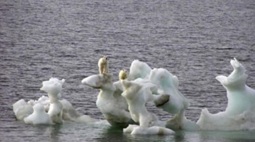 D&uuml;nyayı d&uuml;ş&uuml;nd&uuml;ren senaryo!