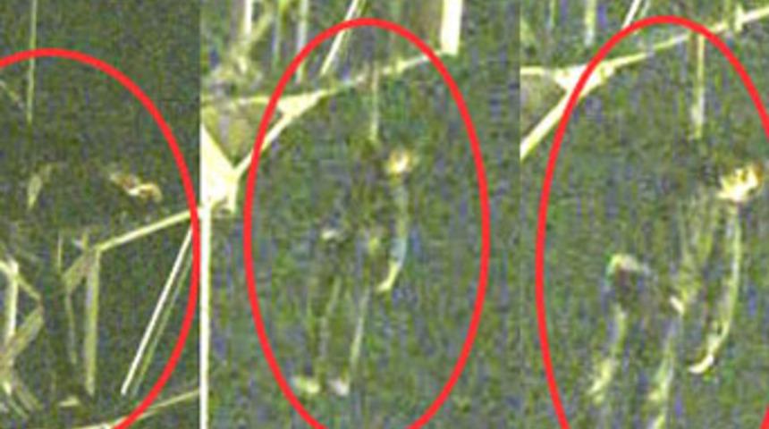 Ölüme böyle atladı!..