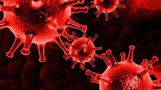 Sepsis nasıl teşhis edilir?