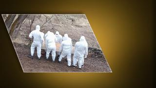 Kene ısırması sonrası öldü,  özel giysilerle toprağa verildi! Erzurum'da endişe yaratan görüntü