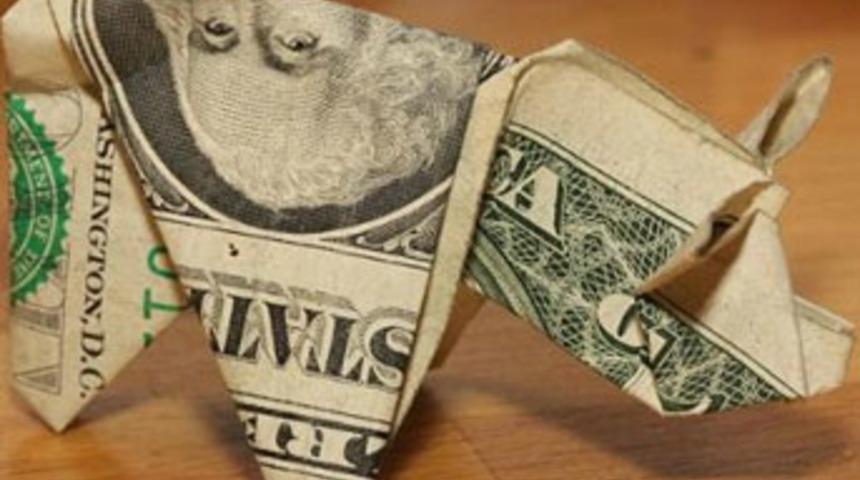 Trafik cezasını 137 domuzla &ouml;dedi