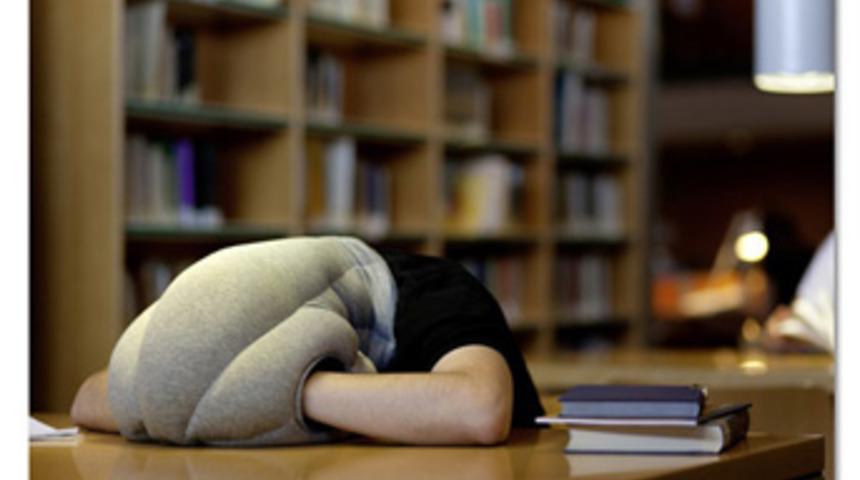 Ostrich Pillow Nerede, Uyku Orada