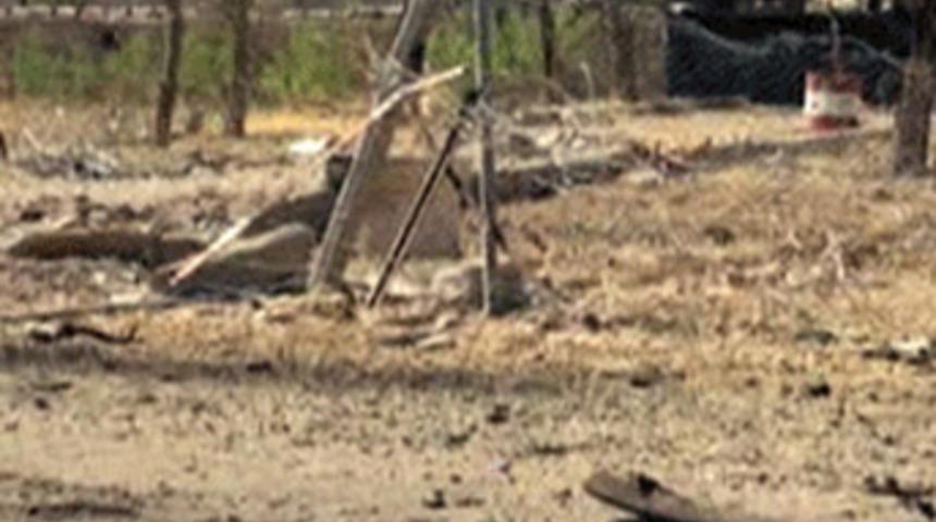 Diyarbakır'da büyük kahramanlık