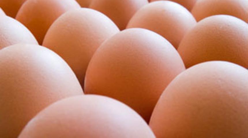 Yumurta krizi kapıda!