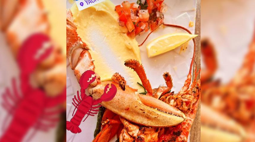 AK Partili vekil Şebnem Bursalı'nın Monaco'da 'ıstakoz' paylaşımı olay oldu! CHP'li Oğuz Kaan Salıcı: "Türkiye’den ucuz muydu bari?"