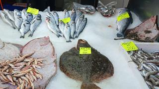 Hem ağırlığına hem fiyatına şaşırdılar!  Kilosu 1200 liradan satışa sunuldu, ilgi odağı oldu!