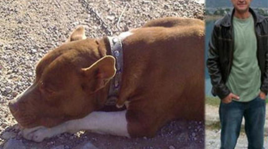 Sahibinin başında 4 g&uuml;n bekledi