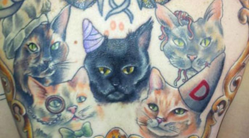 Kedi sevgisini v&uuml;cuduna taşıdı