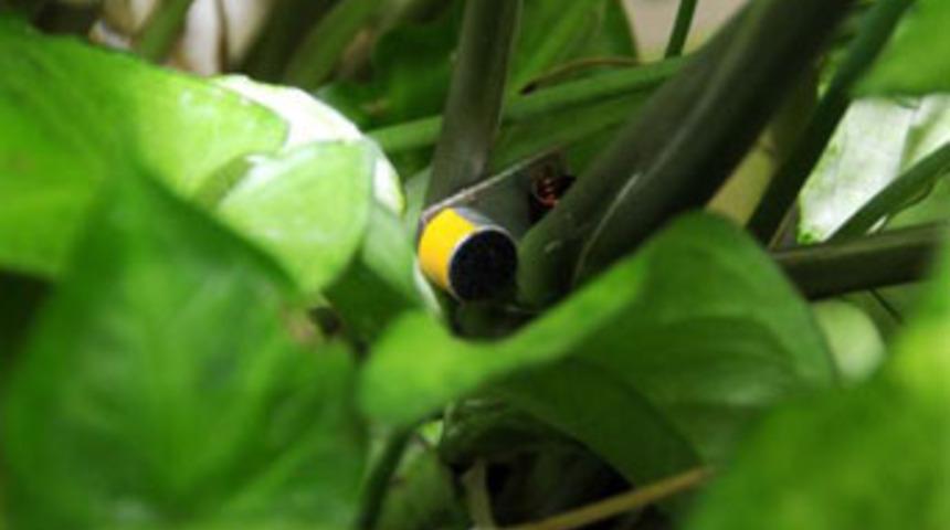 İşte o b&ouml;cekler