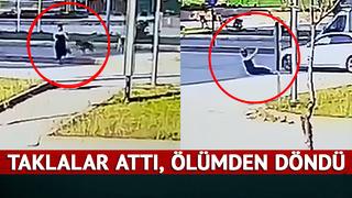 Köpeklerden kaçarken kabusu yaşadı! Bir anda yola atladı, araba çarpınca taklalar attı