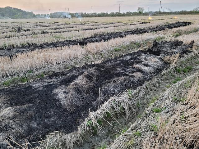 Samsun'da tarım arazisinde çıkan yangın söndürüldü