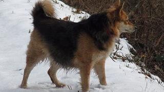 Ankara'da toprağa gömülü kadın cesedi bulundu