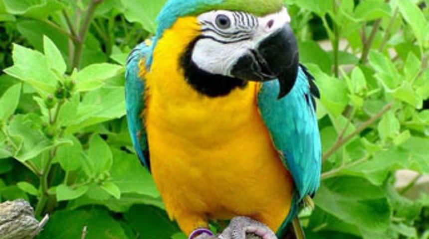 Polis, öyle bir şey için seferber oldu ki...