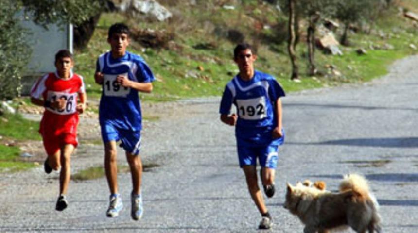 K&ouml;pek saldırdı, sıralama değişti