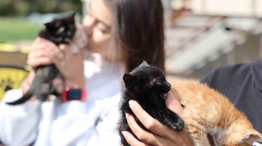 Bu kadarına pes dedirtti, 4 yavru kediyi çöpe attı