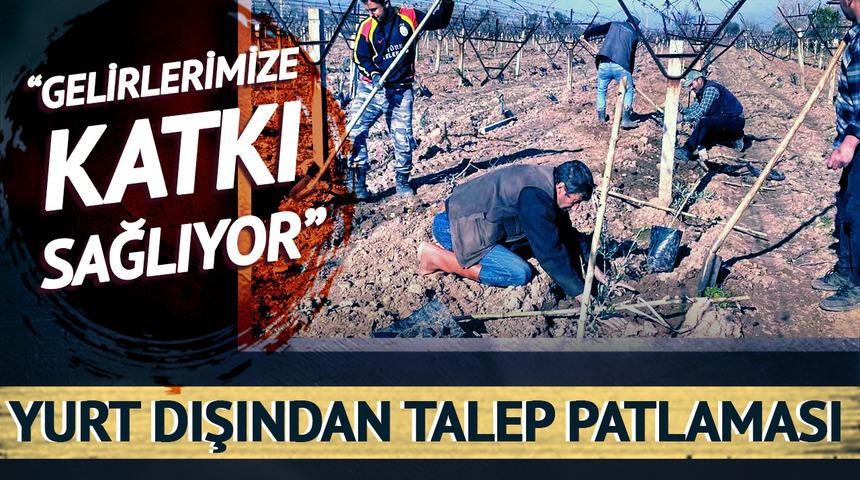 Maliyeti daha düşük olduğu için yeni gözde haline geldi! Yurt dışından talep patlaması var: "Gelirlerimize katkı sağlıyor"