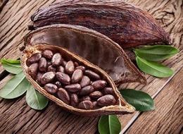 Emtia piyasasında jeopolitik riskler ve yaptırımlar etkili oldu: Kakao fiyatlarında yeni rekor