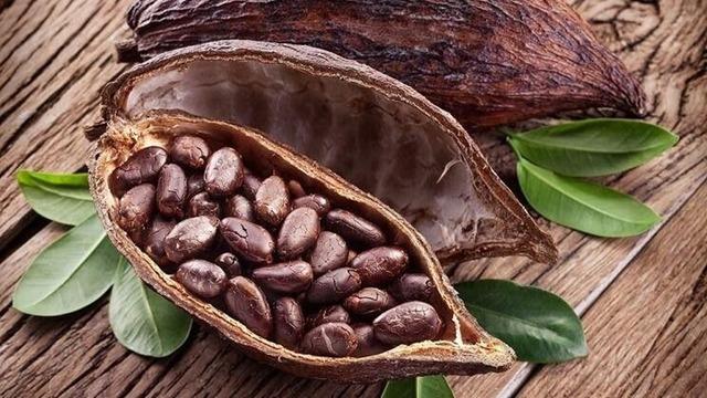 Kakao fiyatlarında yeni rekor