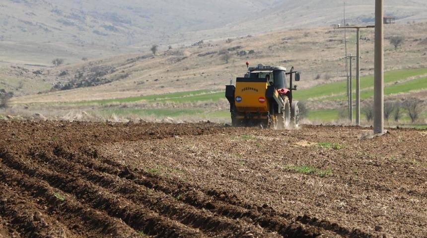 Tarım sektöründen ihracatta ilk çeyrek rekoru