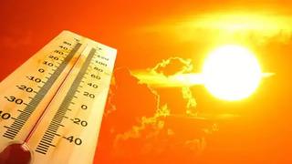 Bu yaz kavrulacağız! Bakan Özhaseki'den uyarı geldi: 'Bazı illerimizde sıcaklıklar mevsim normallerinin üzerine çıkıyor'