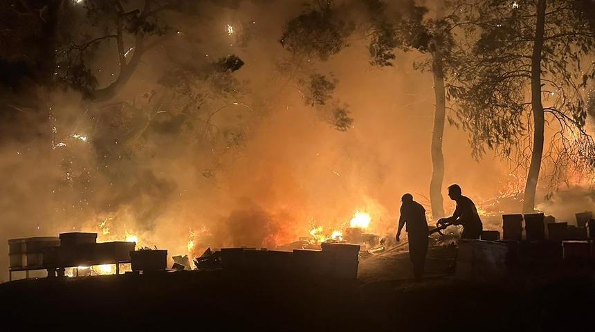 Antalya'da otluk alanda çıkan yangında arı kovanları zarar gördü
