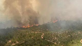 Çanakkale Valiliği'nden orman yangını uyarısı geldi! 'Çok büyük risk oluşturuyor'