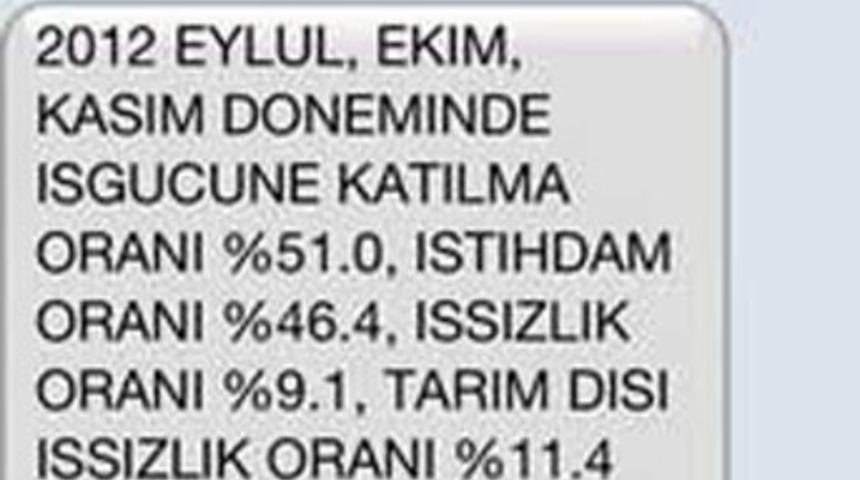 TÜİK'ten SMS skandalı