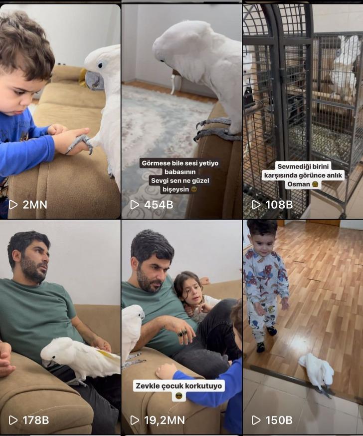 Videoları 30 milyon izlenmeye ulaştı! Fenomen papağan Osman, ilahi duyunca kendinden geçiyor G2