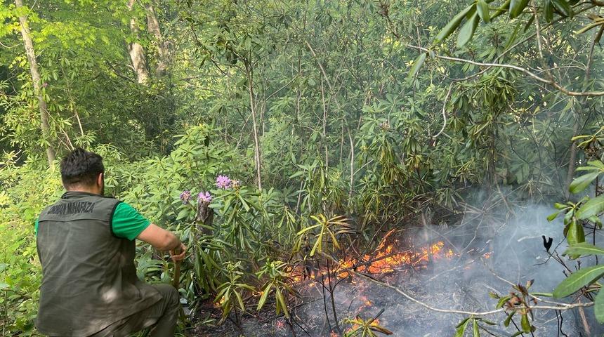 Sakarya'da çıkan yangında 5 dönüm ormanlık alan zarar gördü