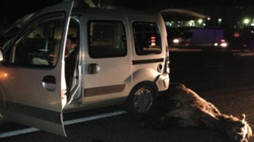 Aracın &ouml;n camından girip arka camından &ccedil;ıktı!