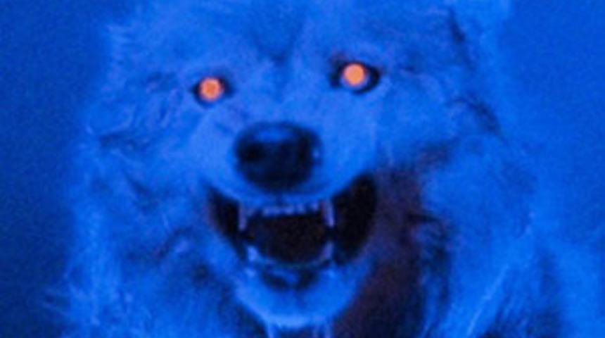 Korkunç bir yıl geçirmek için 6 sebep!