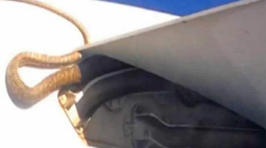 U&ccedil;ağın kanadında 3 metrelik piton!