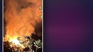 Yalova'da orman yangını! 2 kişi gözaltında