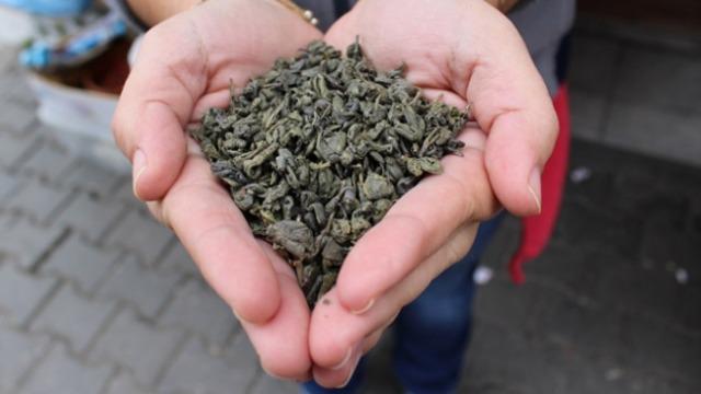 Mevsimin ilk hasat edilen yeşil çayı rekor fiyata satıldı