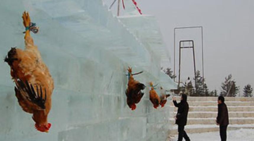 G&ouml;renlerin kanı dondu!