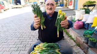 Yoğun talep var! Kendiliğinden yetişiyor, zor şartlarda toplanıyor... Romatizma, şeker ve tansiyona birebir