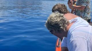 Alanya'da tur teknesine eşlik eden yunuslar görüntülendi