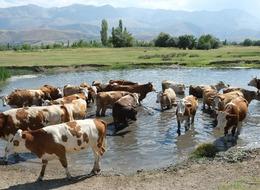 Her yıl aynı manzara! 40 bin lira maaşı var, çalışacak kimse yok