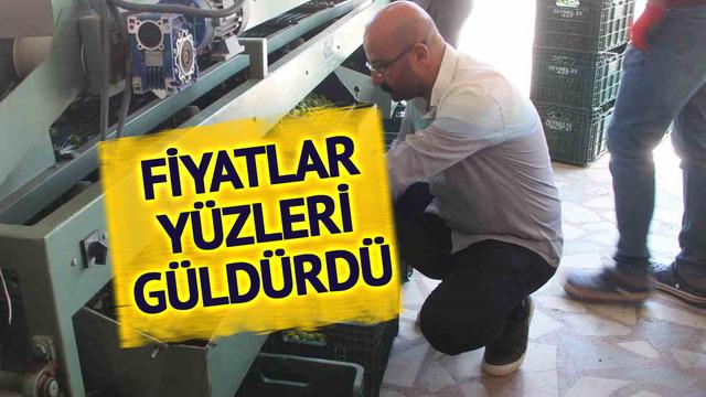 Fiyatı 150 dolardan 50 liraya düştü! Çok fazla talep var... Biraz daha düşmesi bekleniyor