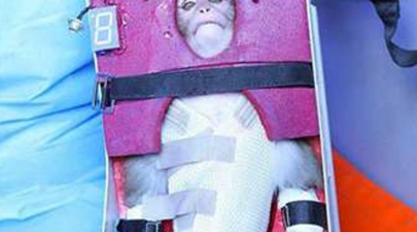 ABD İran'ın maymununu inandırıcı bulmadı