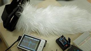 İnsan kuyruğu mu olurmuş demeyin