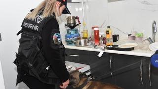 41 ilde eş zamanlı 'Narkoçelik-12' operasyonu: 268 şüpheli yakalandı